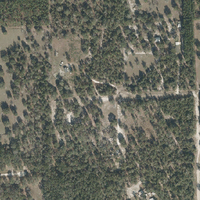 Export Image