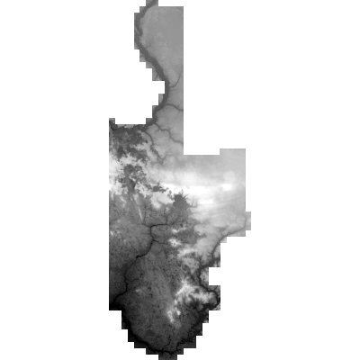 Export Image