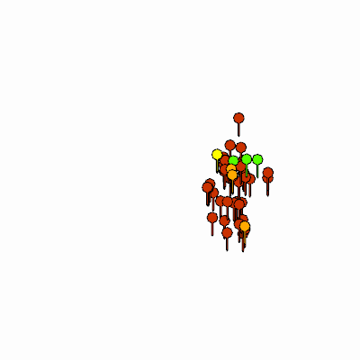 Export Image