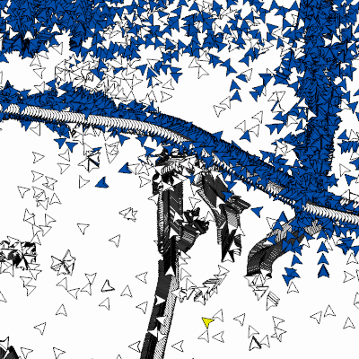 Export Image