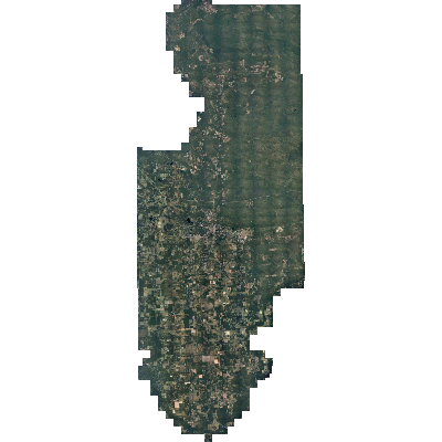 Export Image
