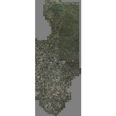 Export Image